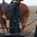 The Harder They Fall Cherokee Bill Grey Coat